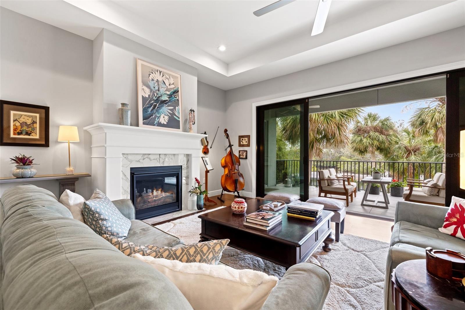 Living room and fireplace