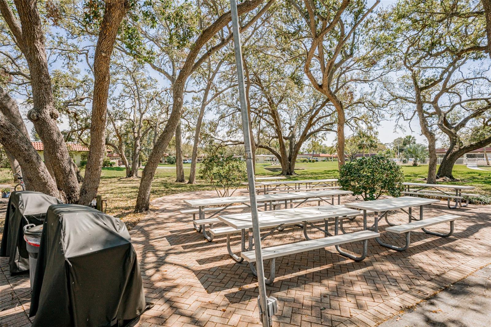 Grilling area with seating