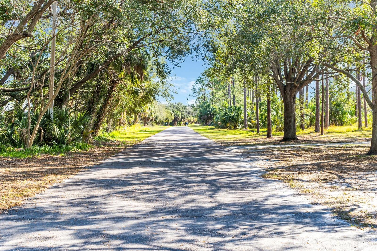 Trail Nearby