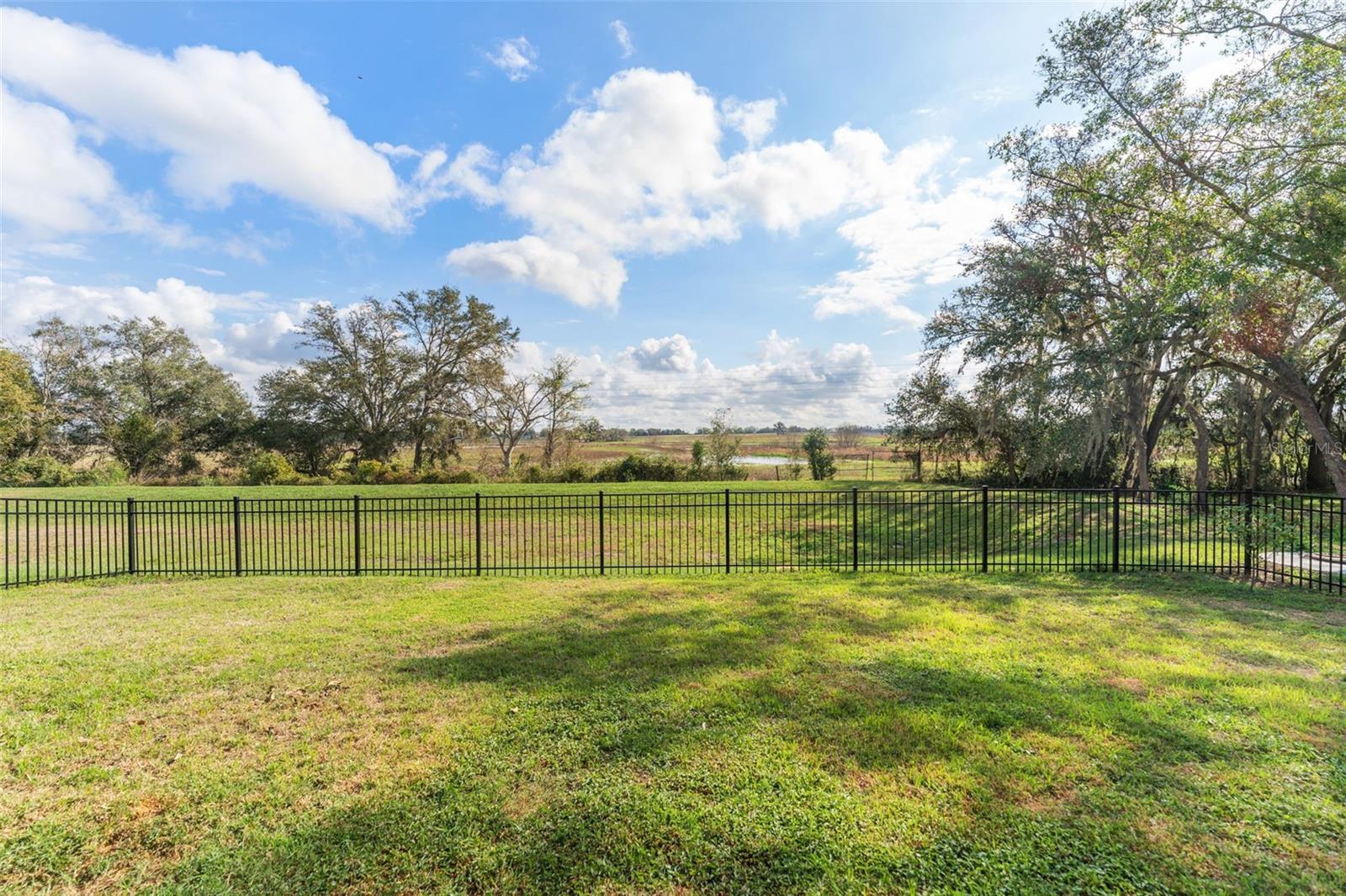 Fenced Backyard with views