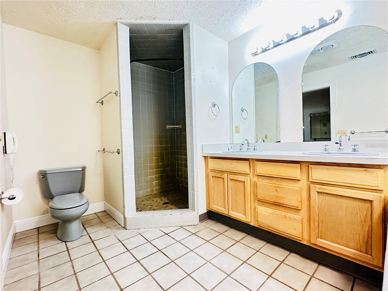 Owner's Bathroom