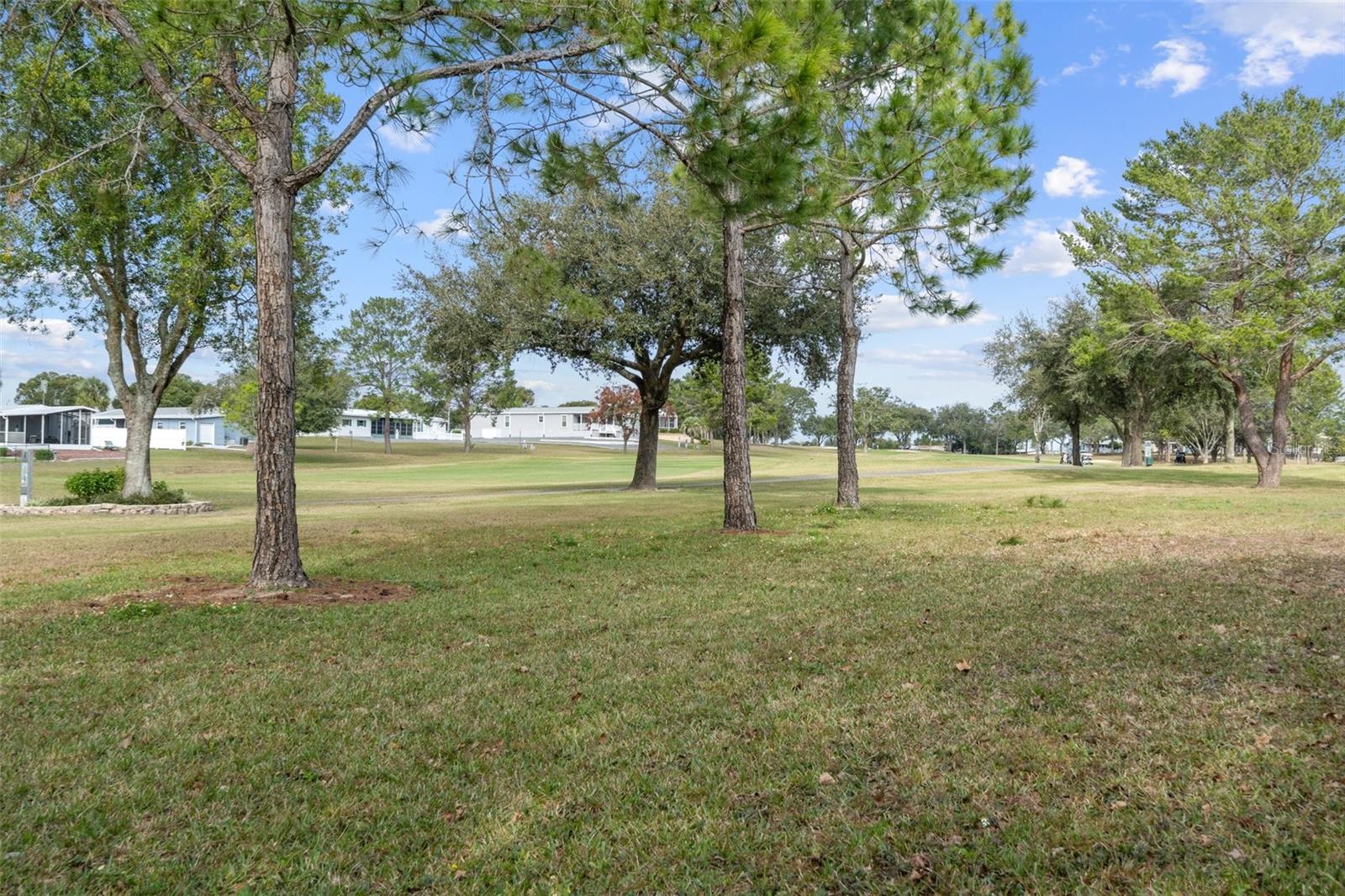 Golf course view