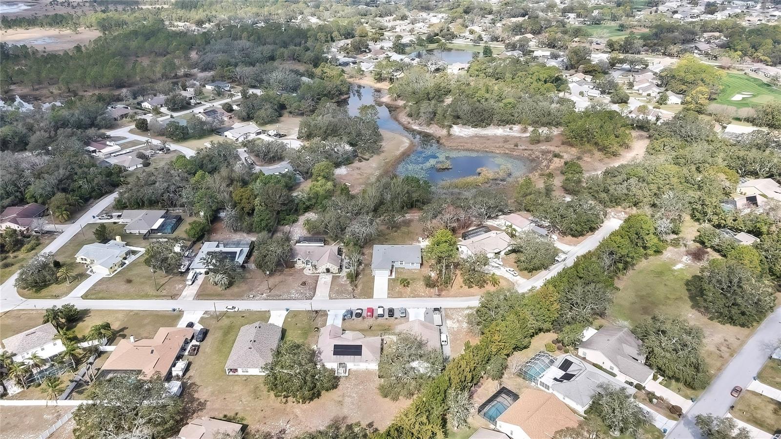 Backs up to Lake Citrus