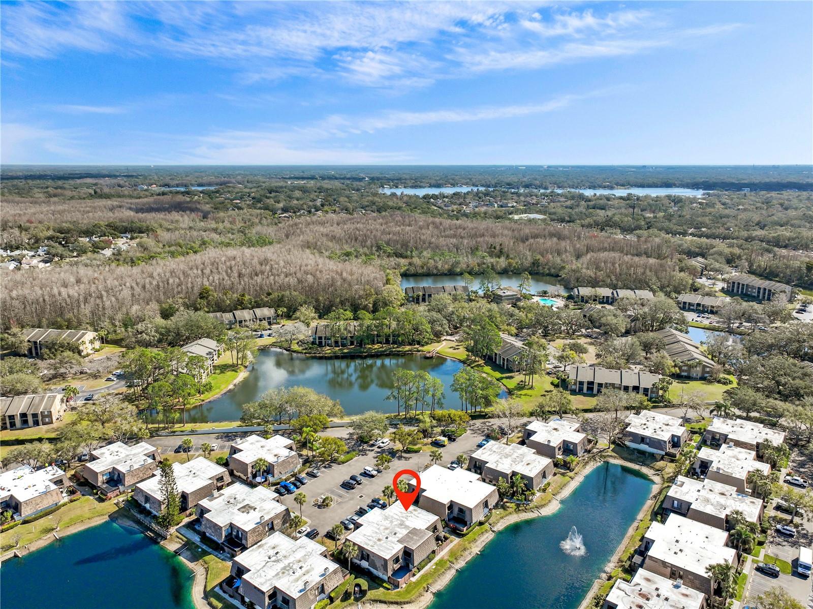 Aerial View Townhome