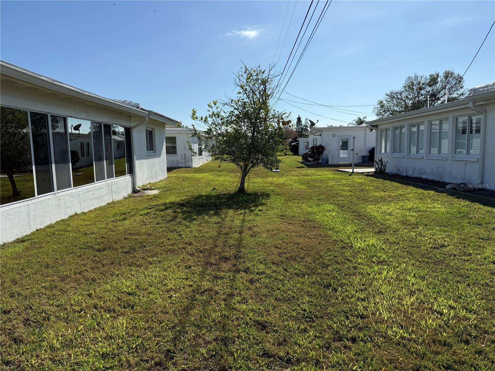 Back yard with lemon tree