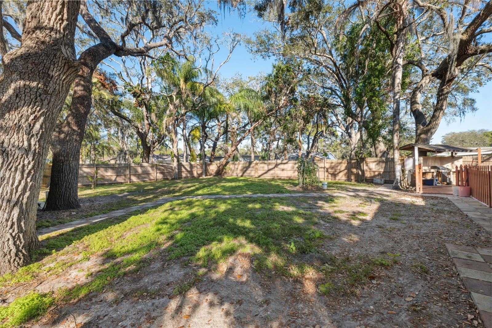 Rear Yard
