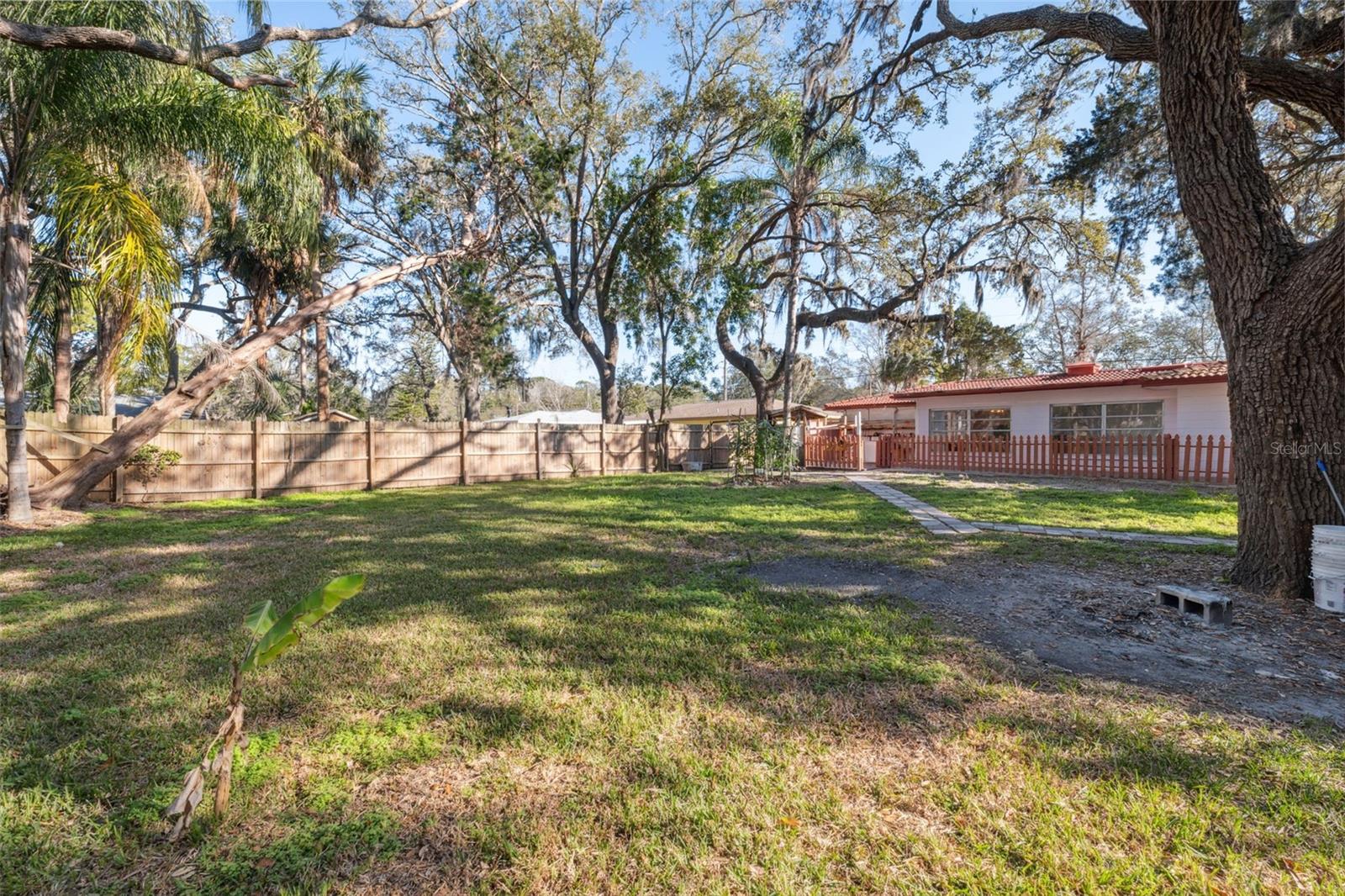 Rear Yard