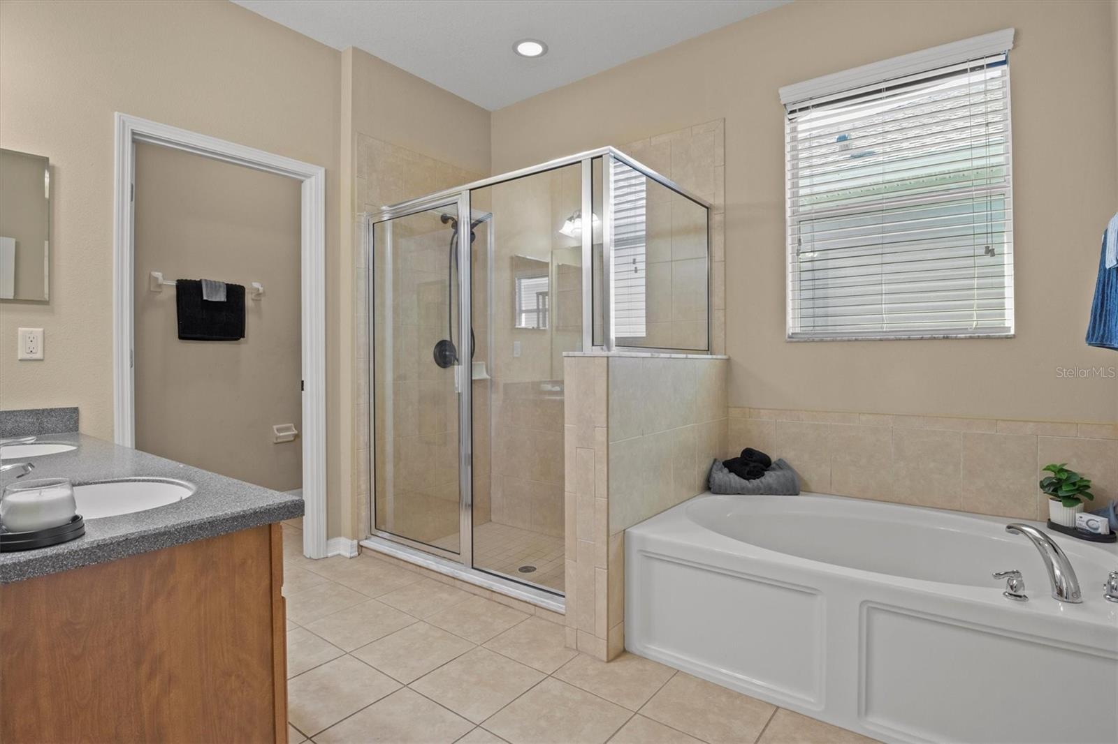 Walk In Shower and Garden Tub