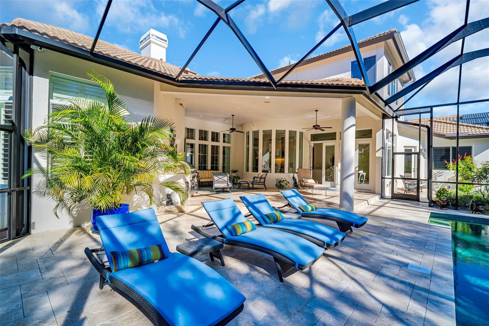 Pool area looking towards covered patio