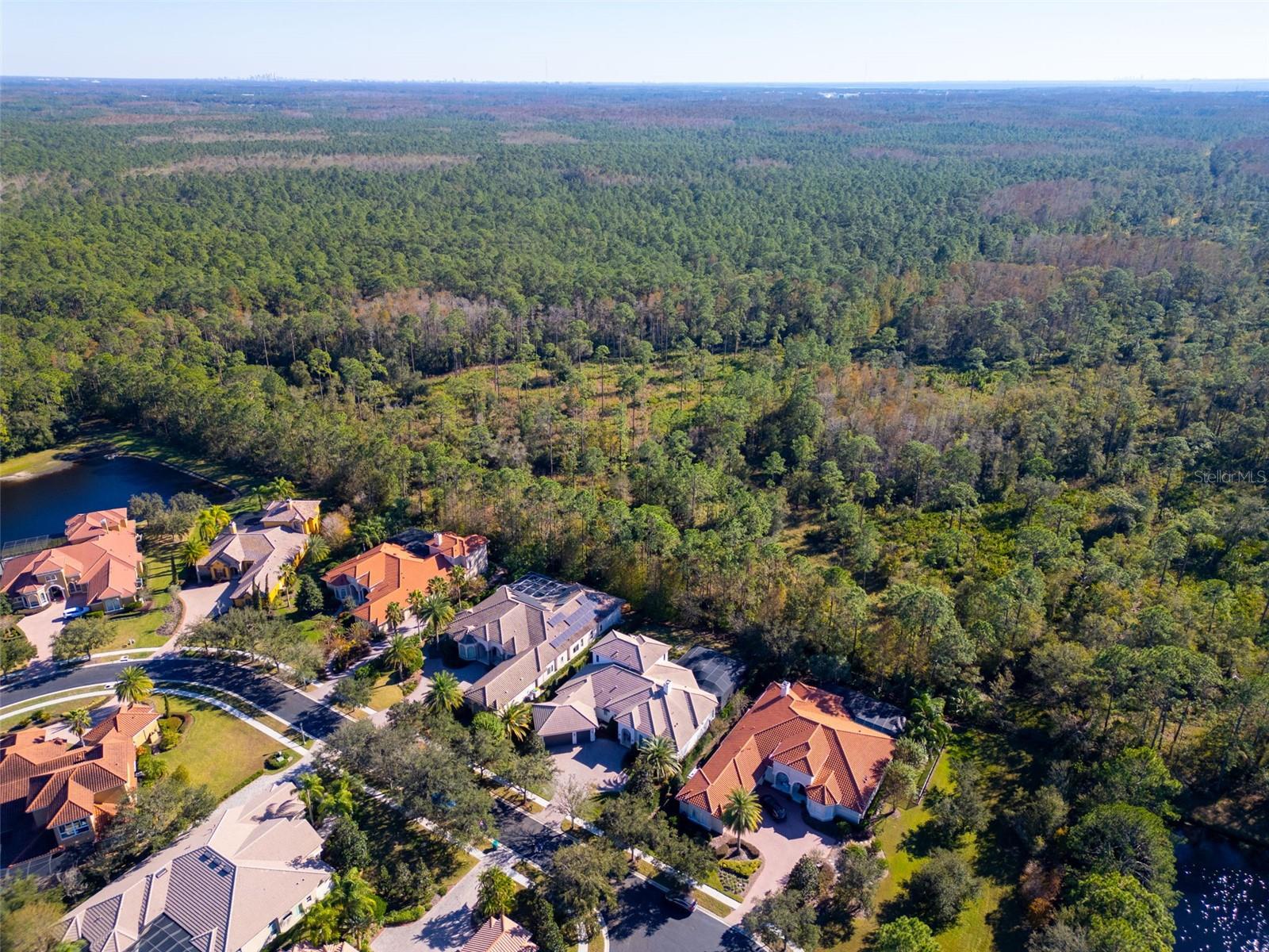 Southeast view of Bookers Creek Preserve.