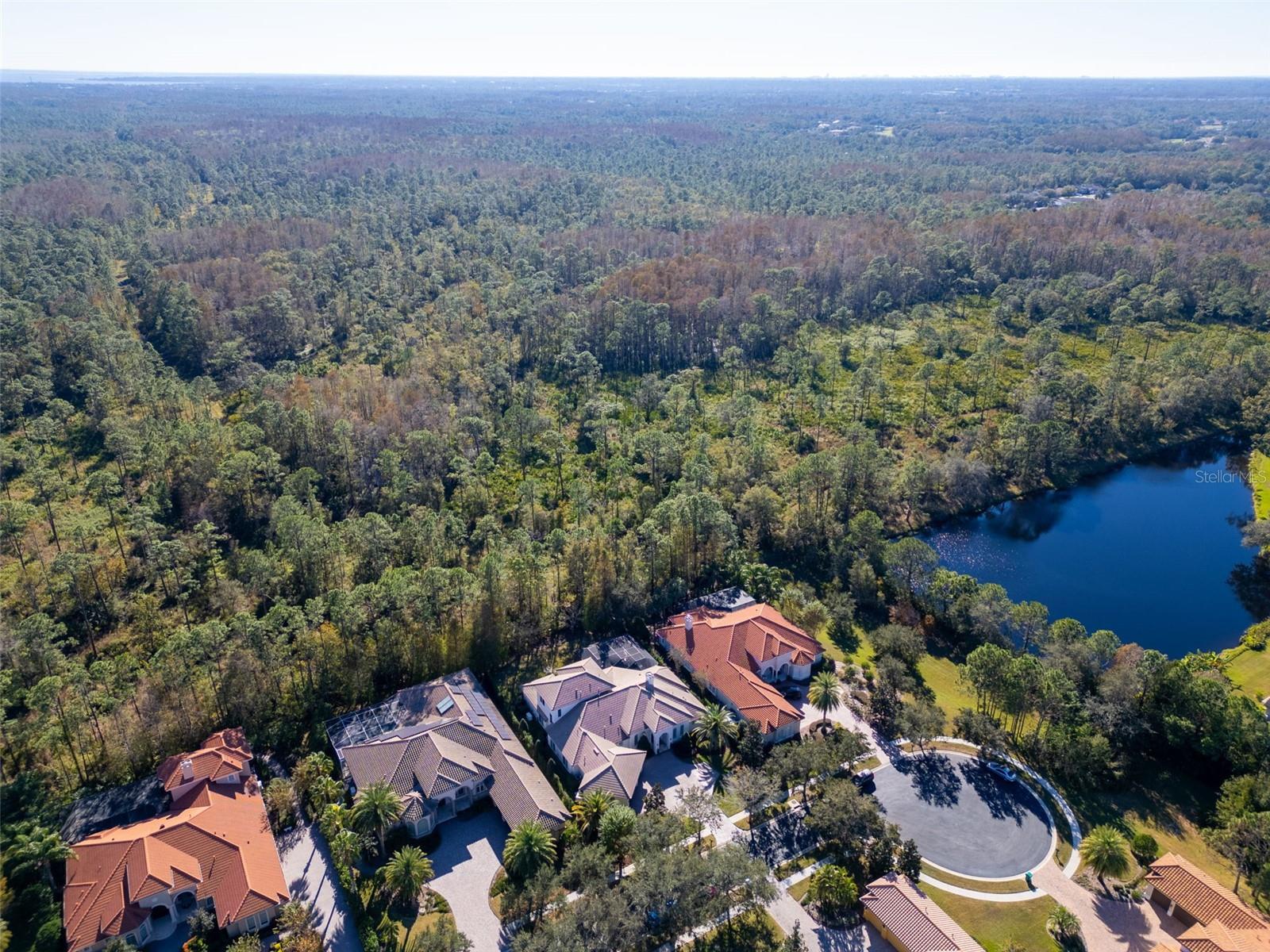 Southern view of Booker Creek Preserve