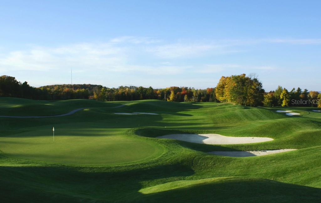 NEARBY INNISBROOK GOLF RESORT