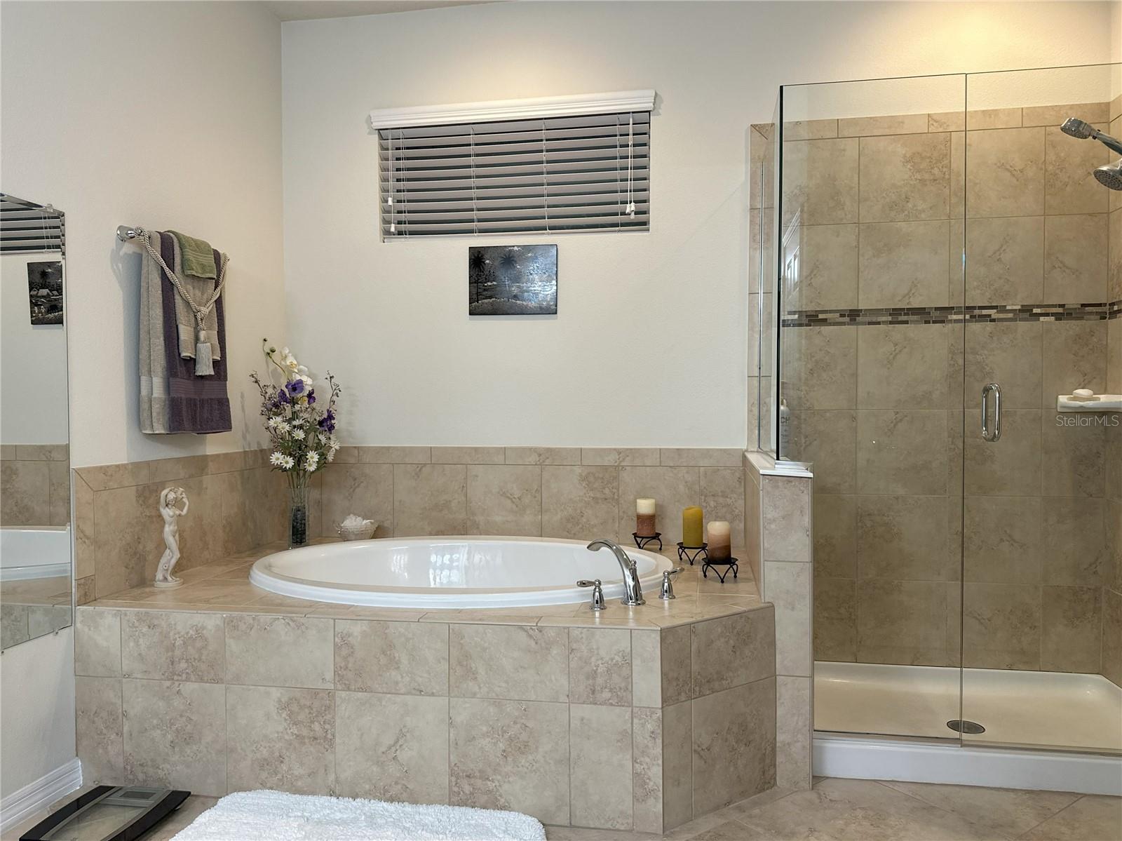 Soaking Tub and frameless shower