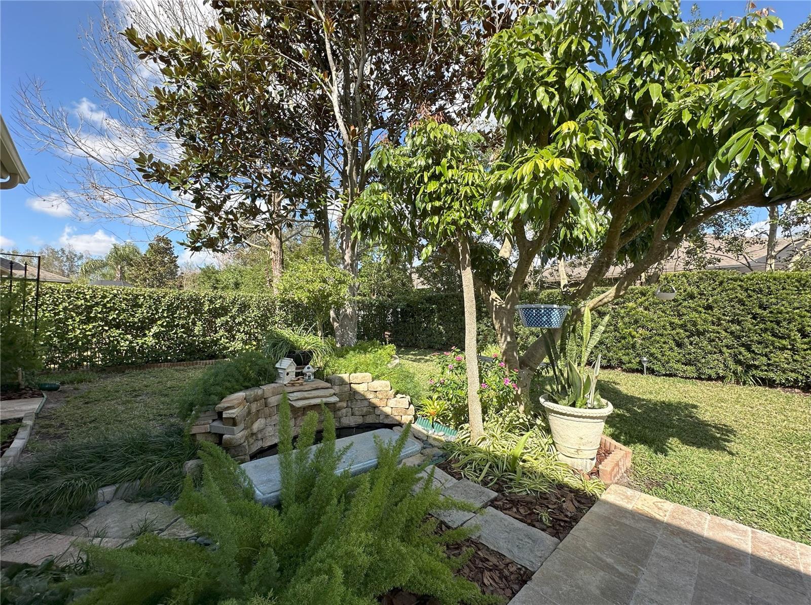 Patio opens to back yard