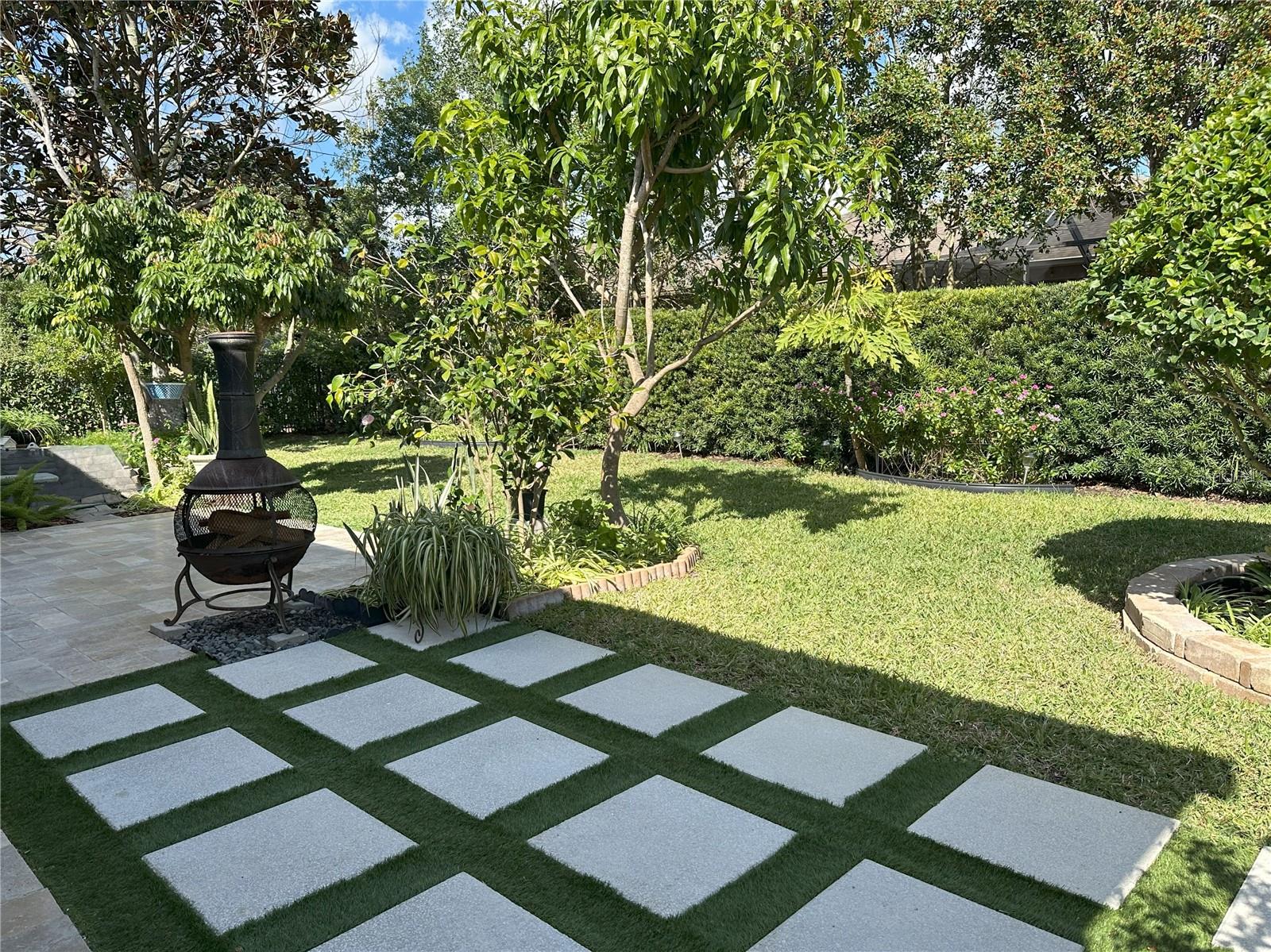 Lounging area in back yard