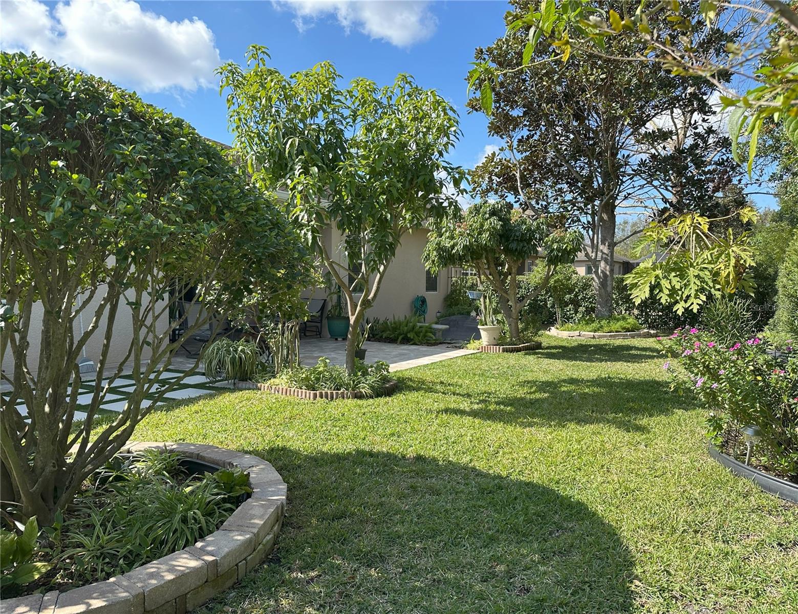 Landscaped back yard