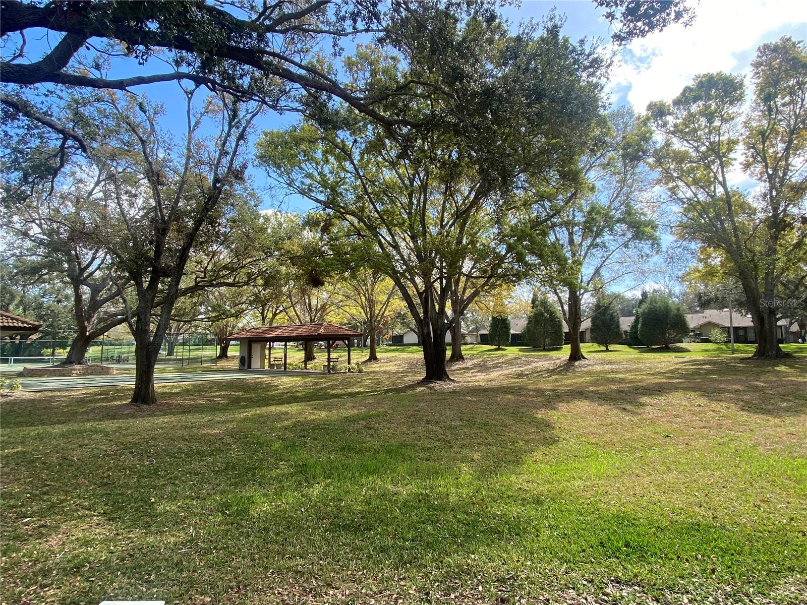 View from back patio overlooking park like setting