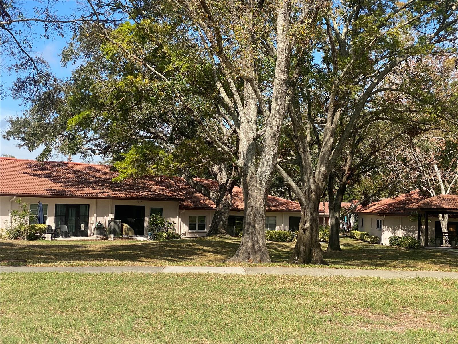 View from the road to back of unit