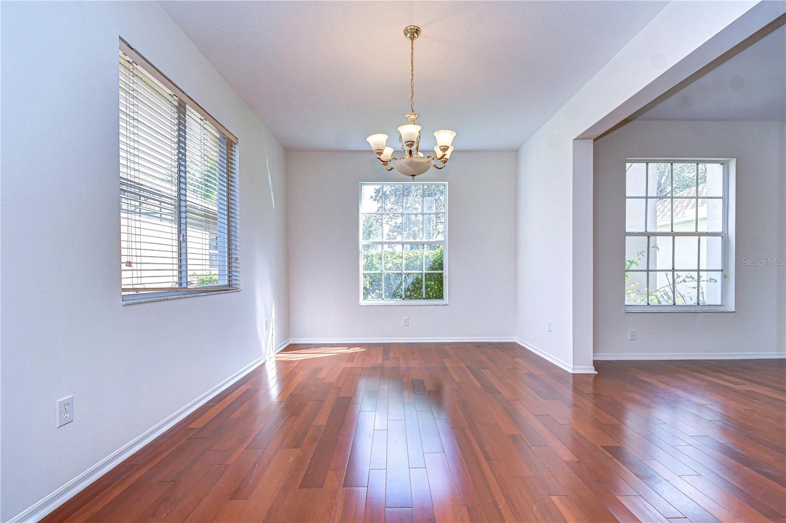 downstair formal dinning room