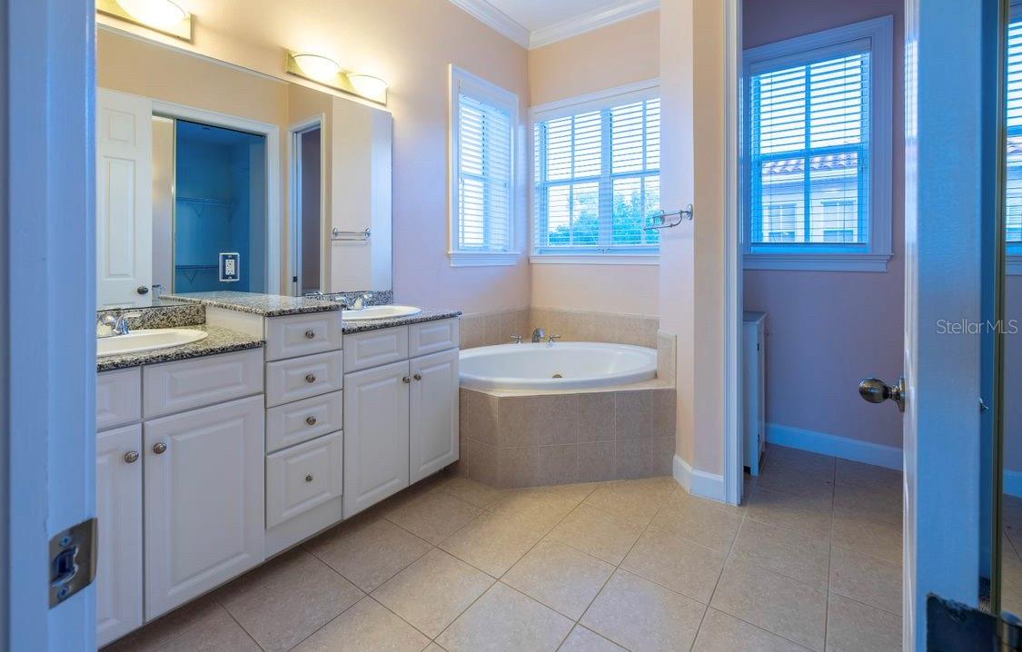 Master Bath Jacuzzi Tub View