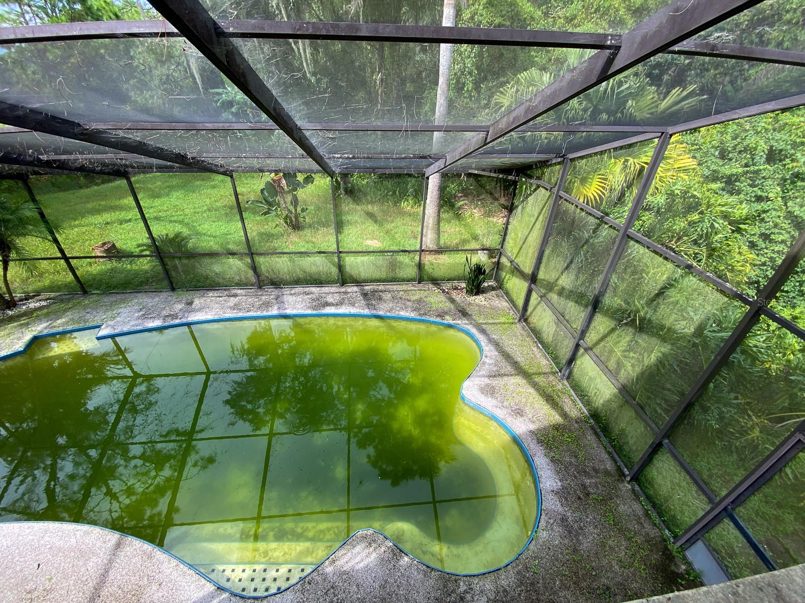 View of pool from deck. Pool needs some love.