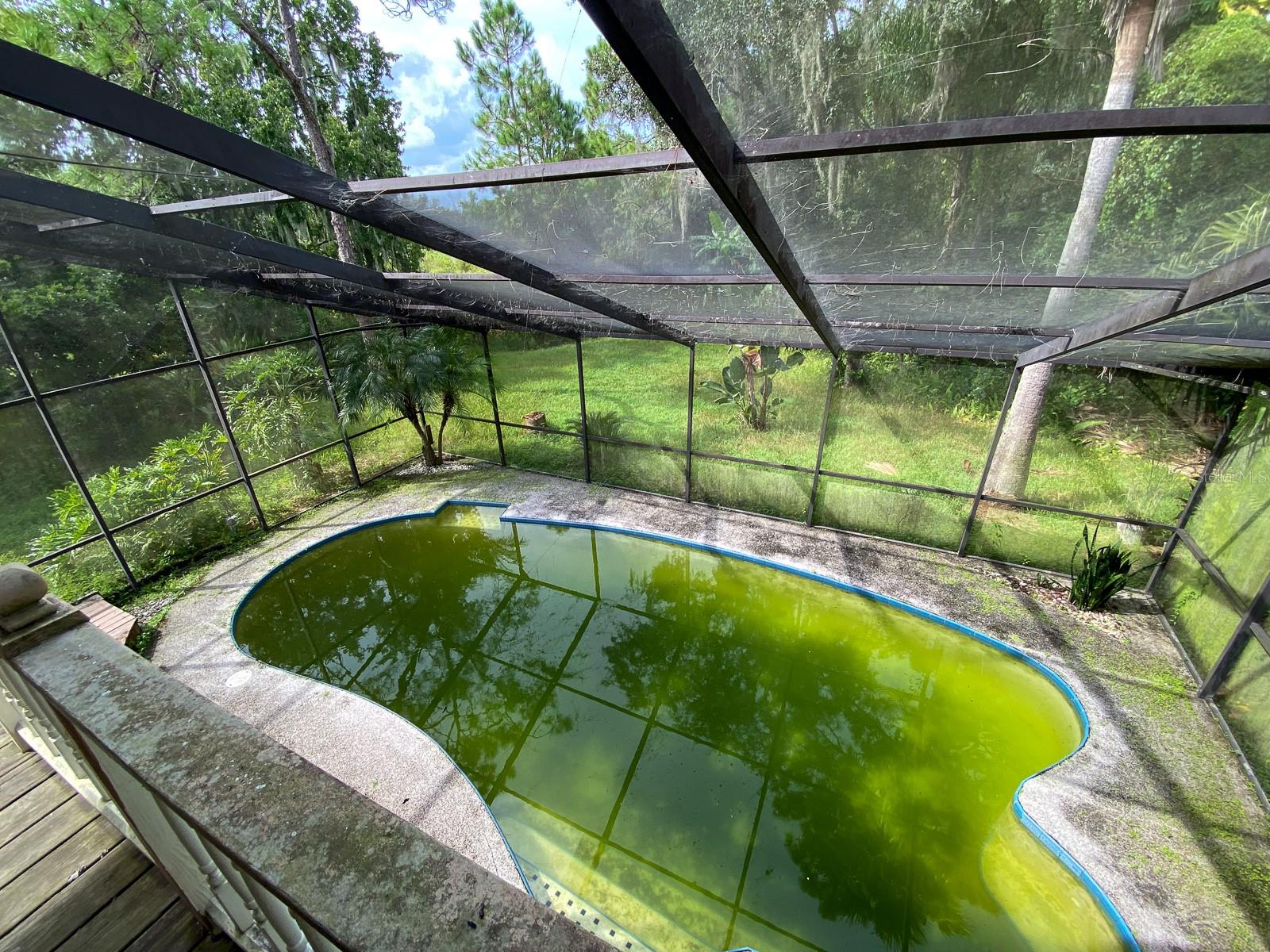 View of pool from deck.