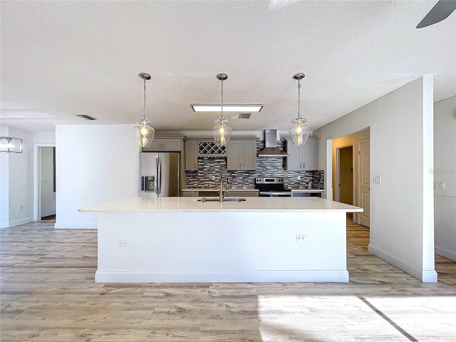 Beautiful renovated kitchen