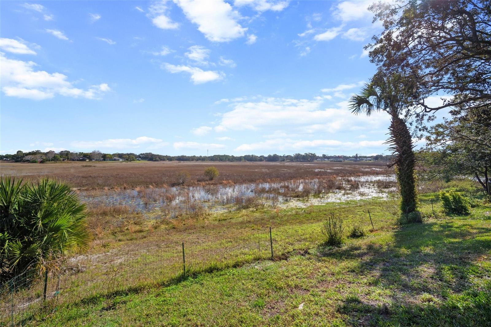 Lakefront View