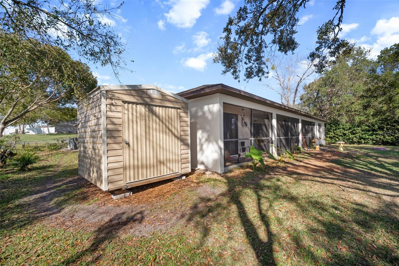 Shed in Backyard