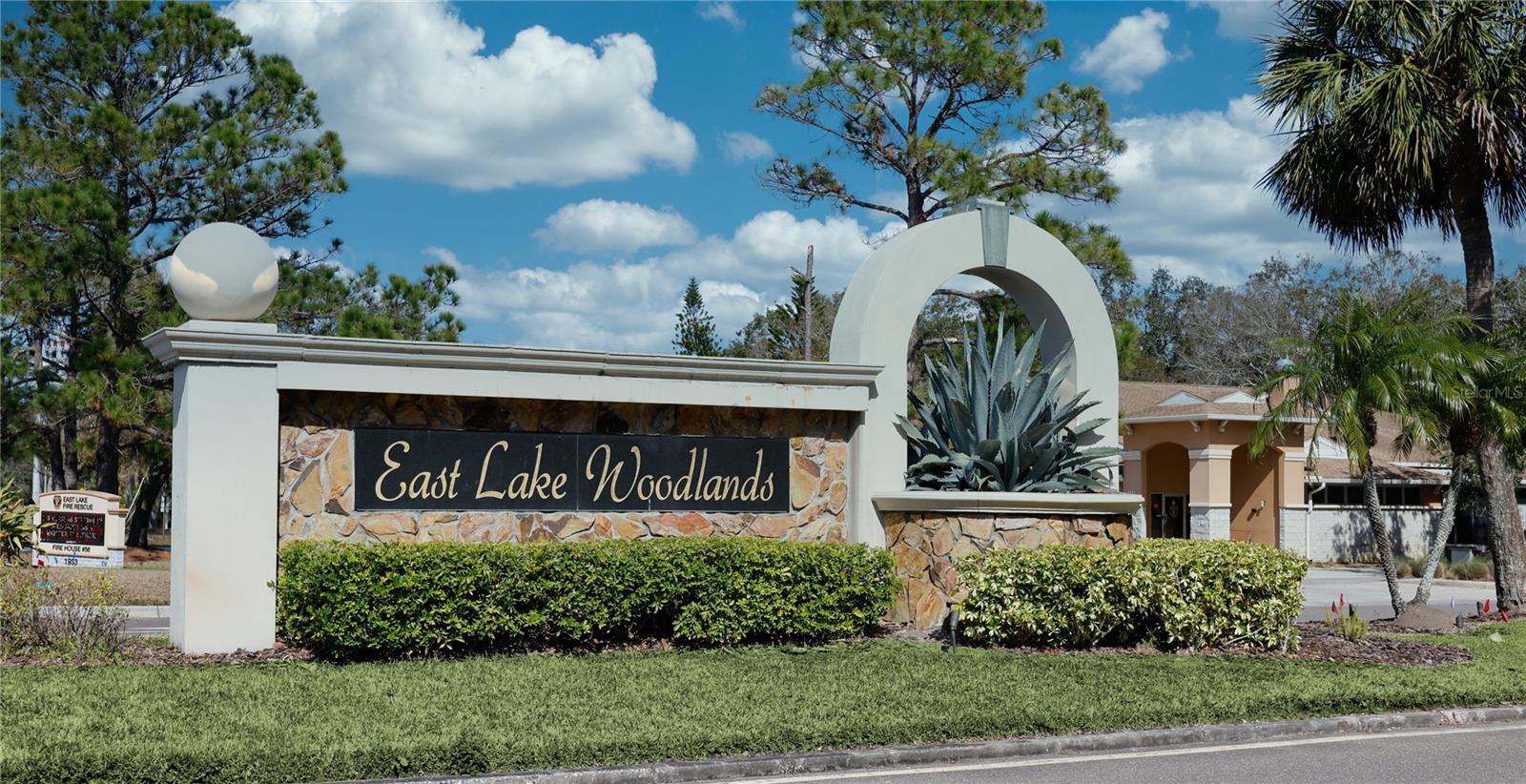 East Lake Woodlands Community