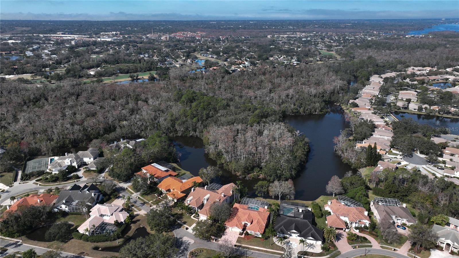 Eastlake Woodlands Aerial