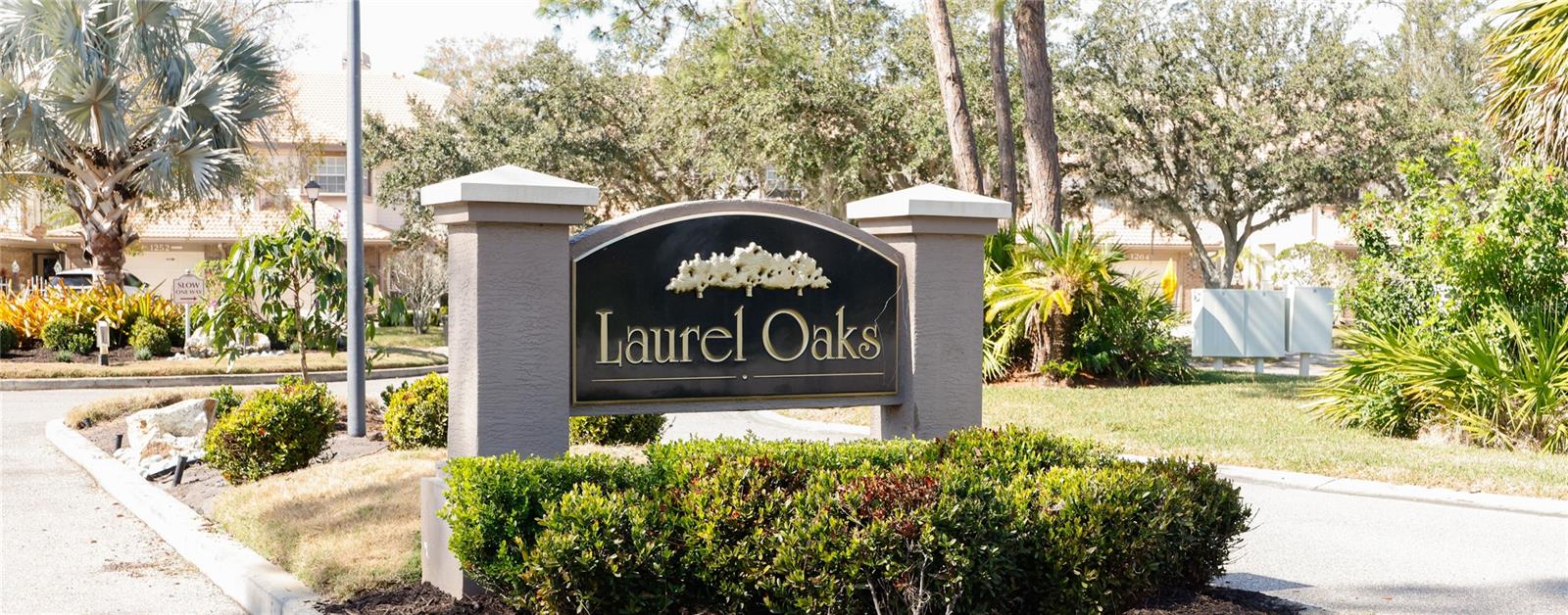 Laurel Oaks