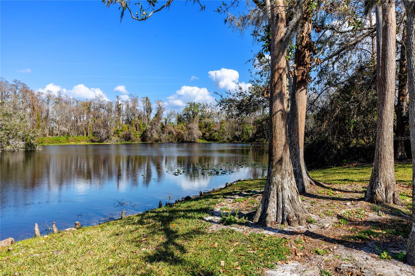 Lake Ravinia