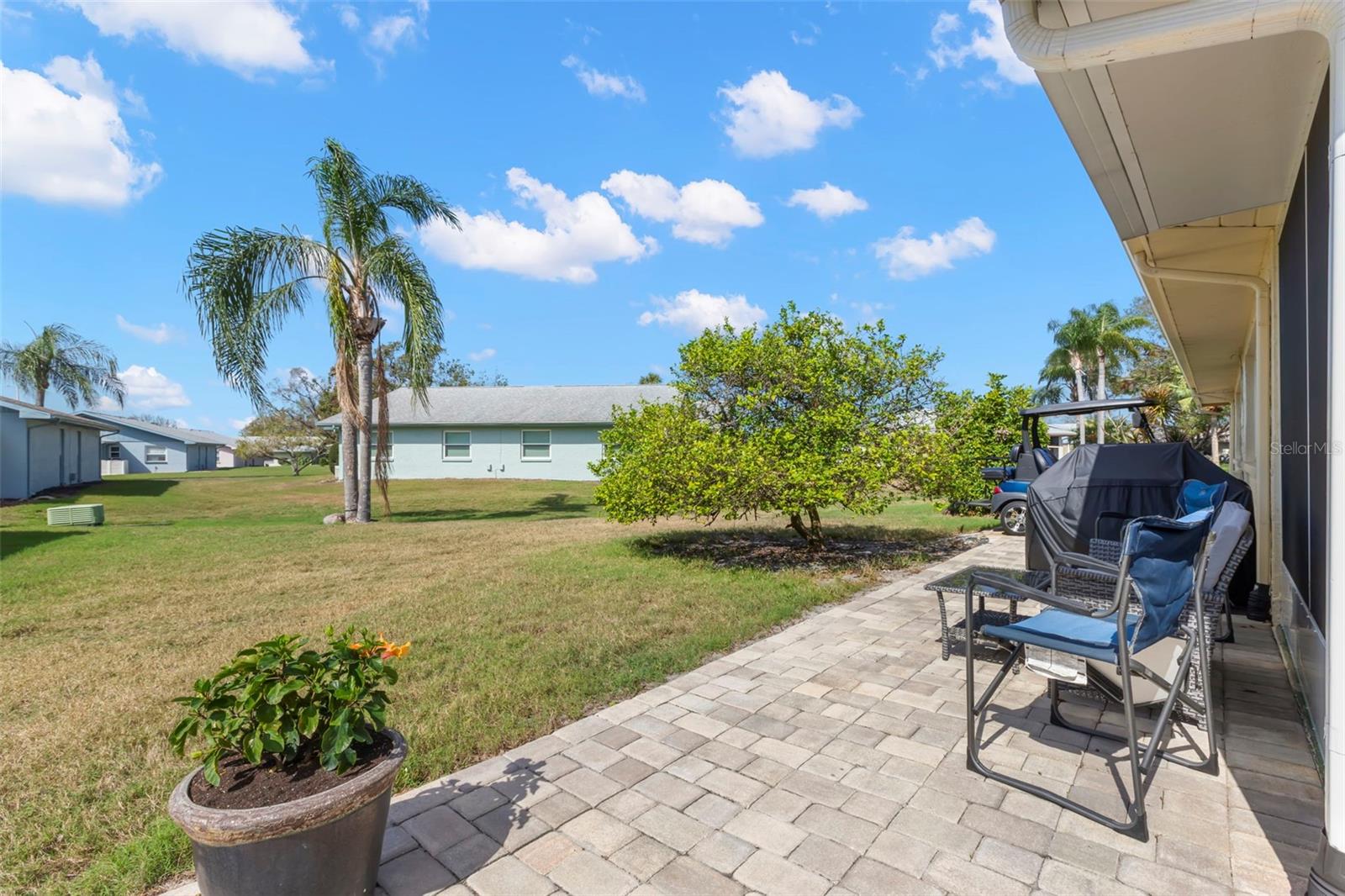 Patio with Lemon Tree