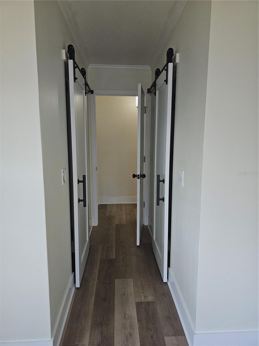 Master entry hallway