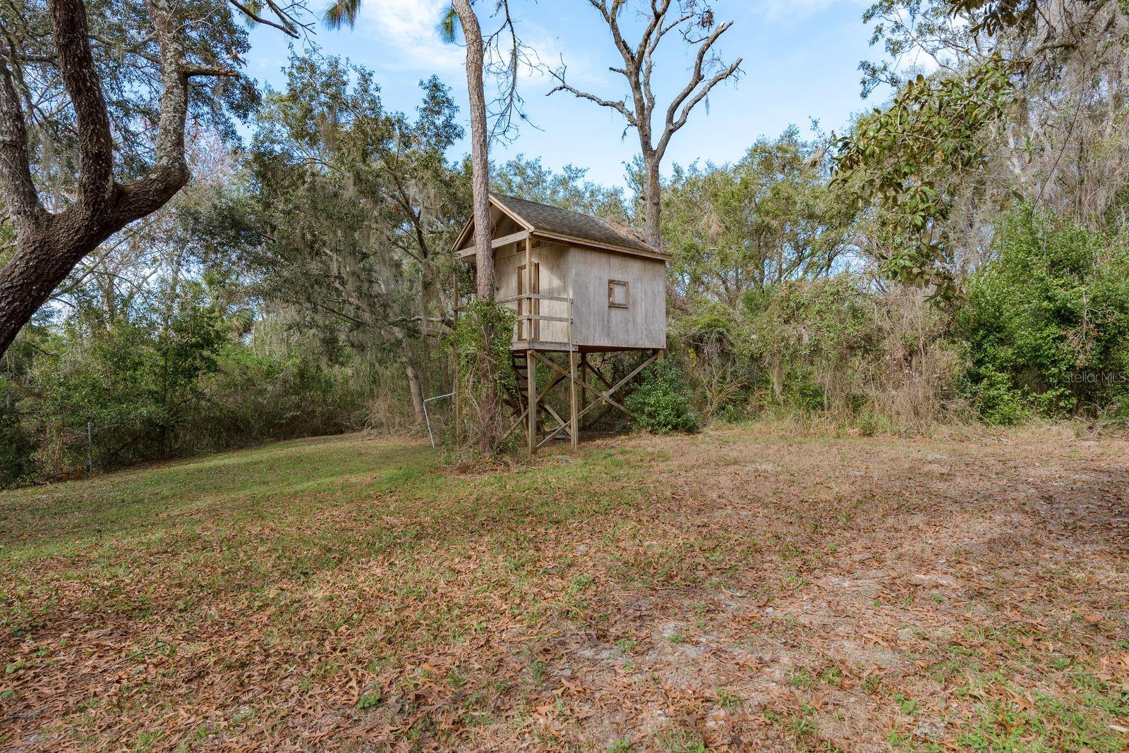 Awesome tree house, built to withstand the strongest storms.