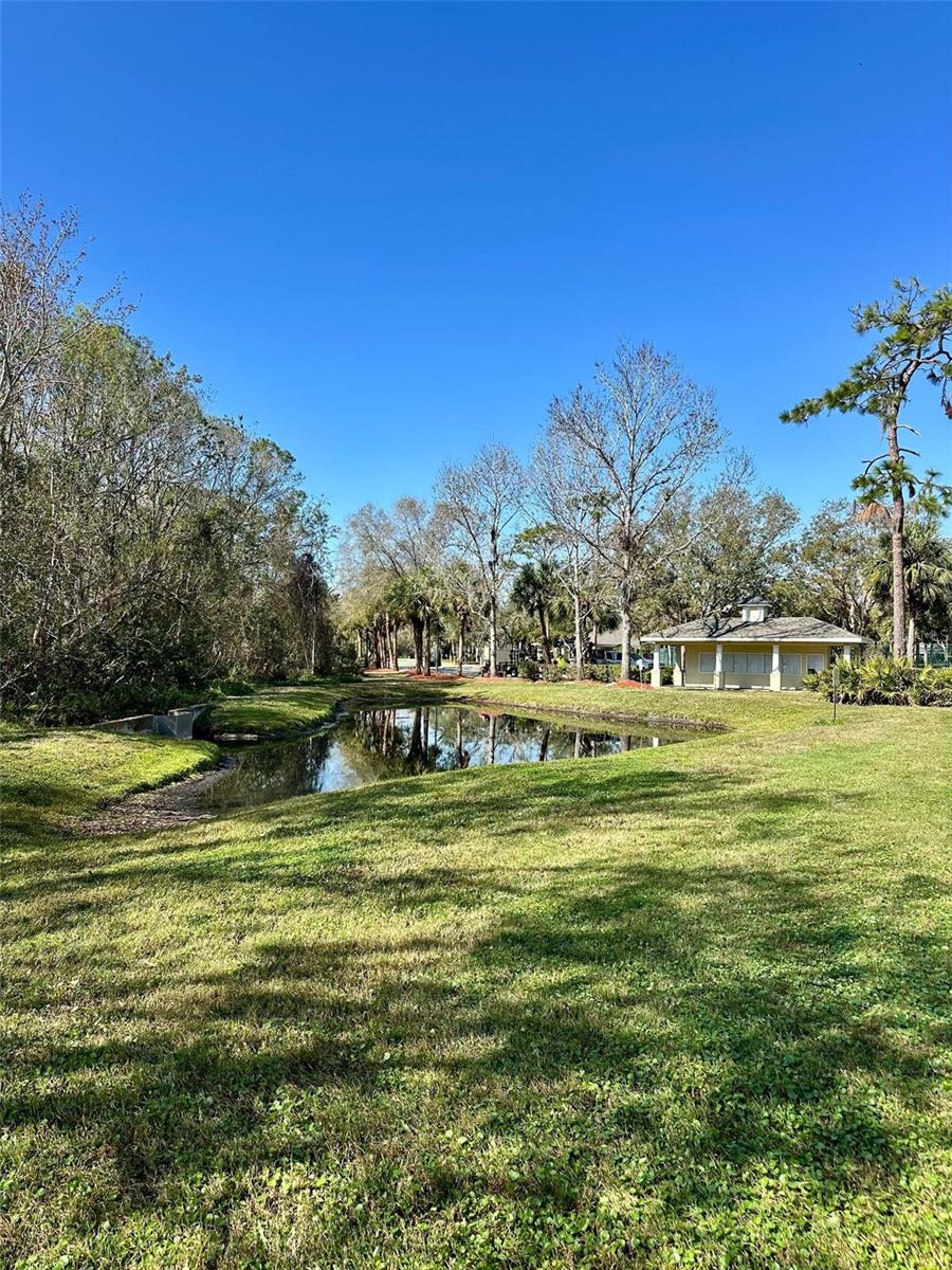 Pond View