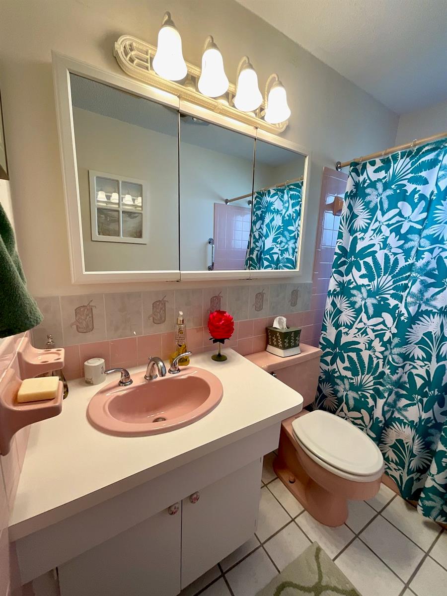 19-Guest Bathroom vanity area