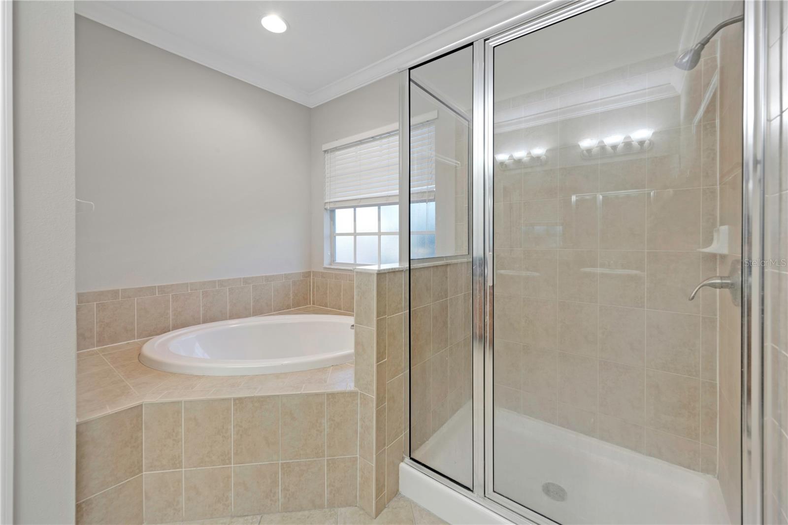 Master Bathroom - Shower and Tub