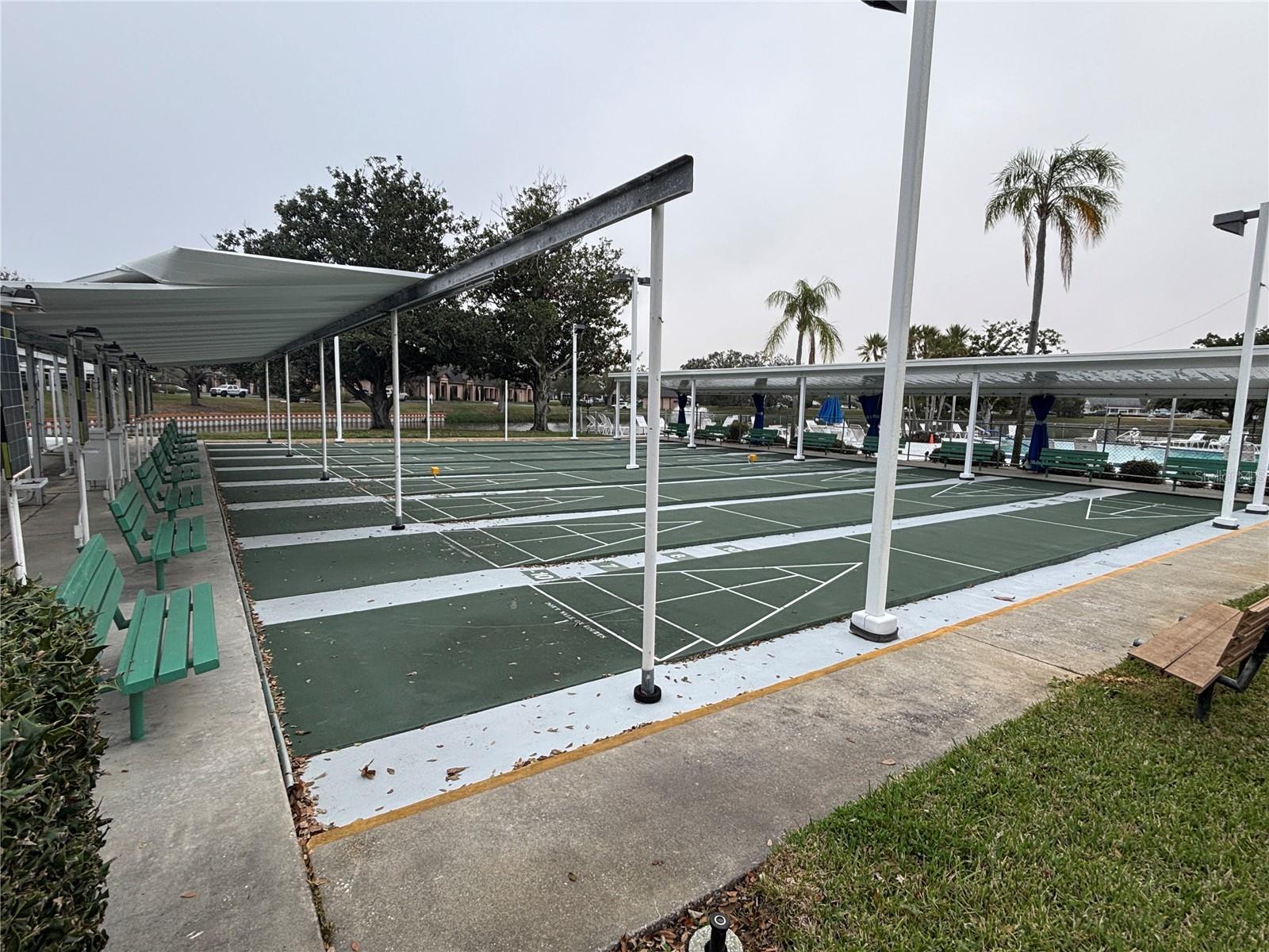 Shuffleboard Courts