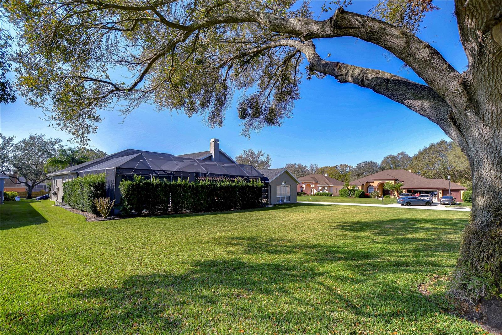 Spacious backyard for endless possibilities, framed by mature trees and lush greenery.