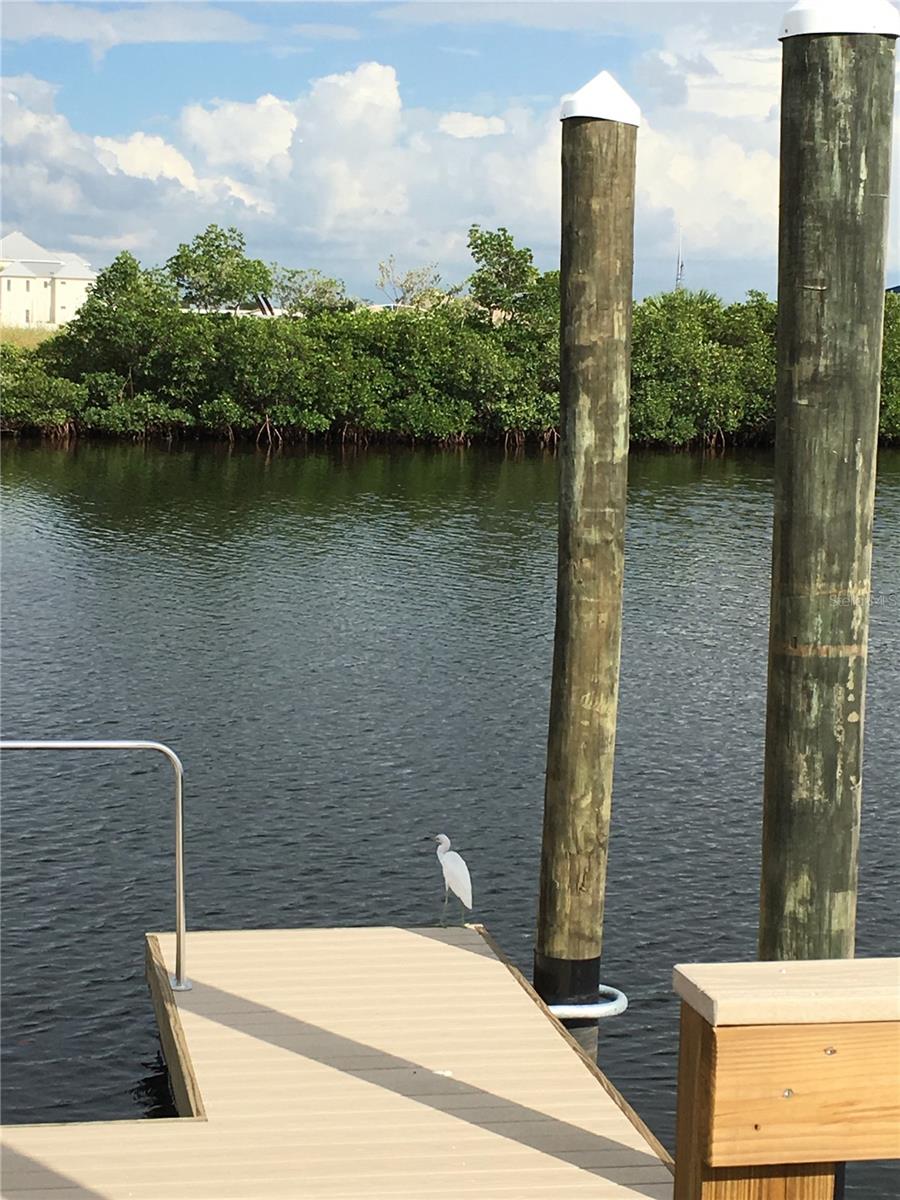 Kayak Launch