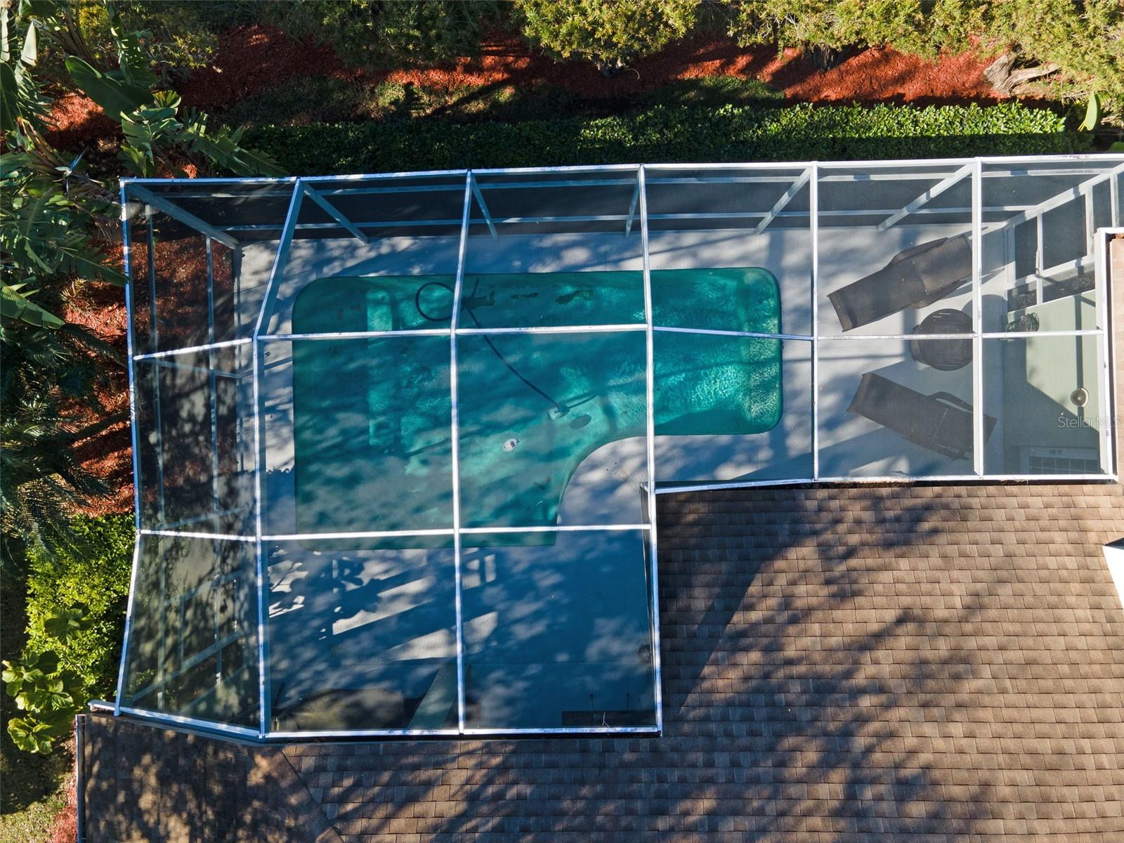 Pool Aerial View