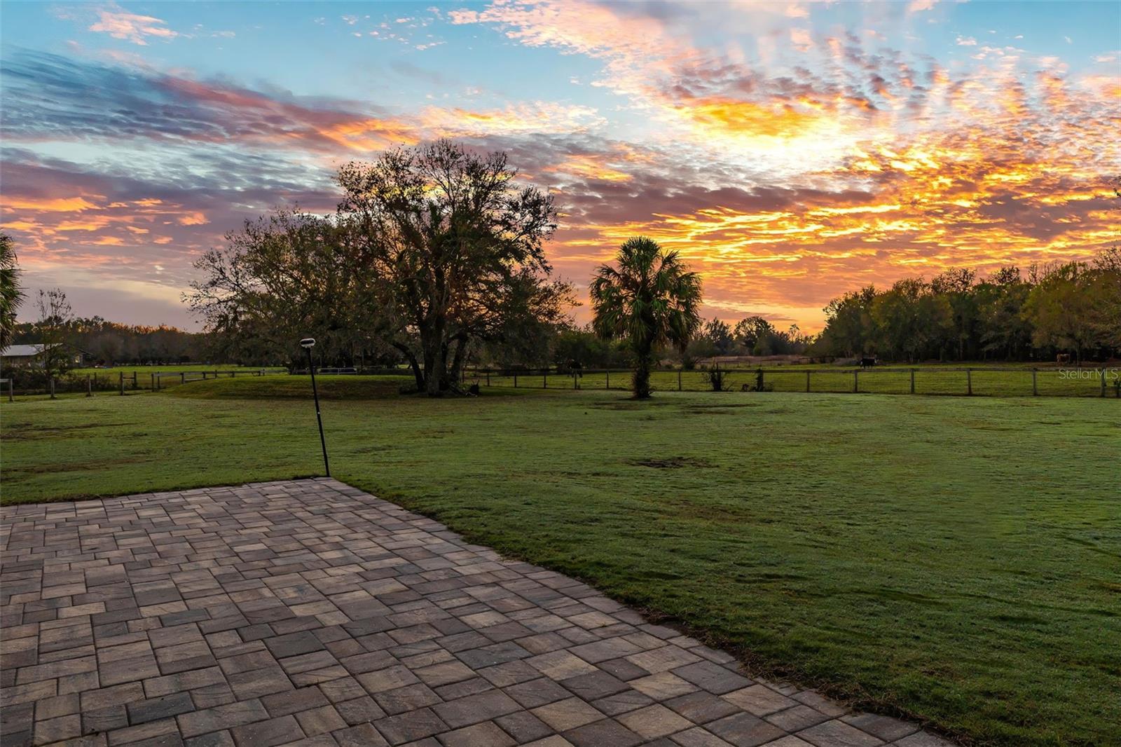 Magnificent sunrise over the back pasture.