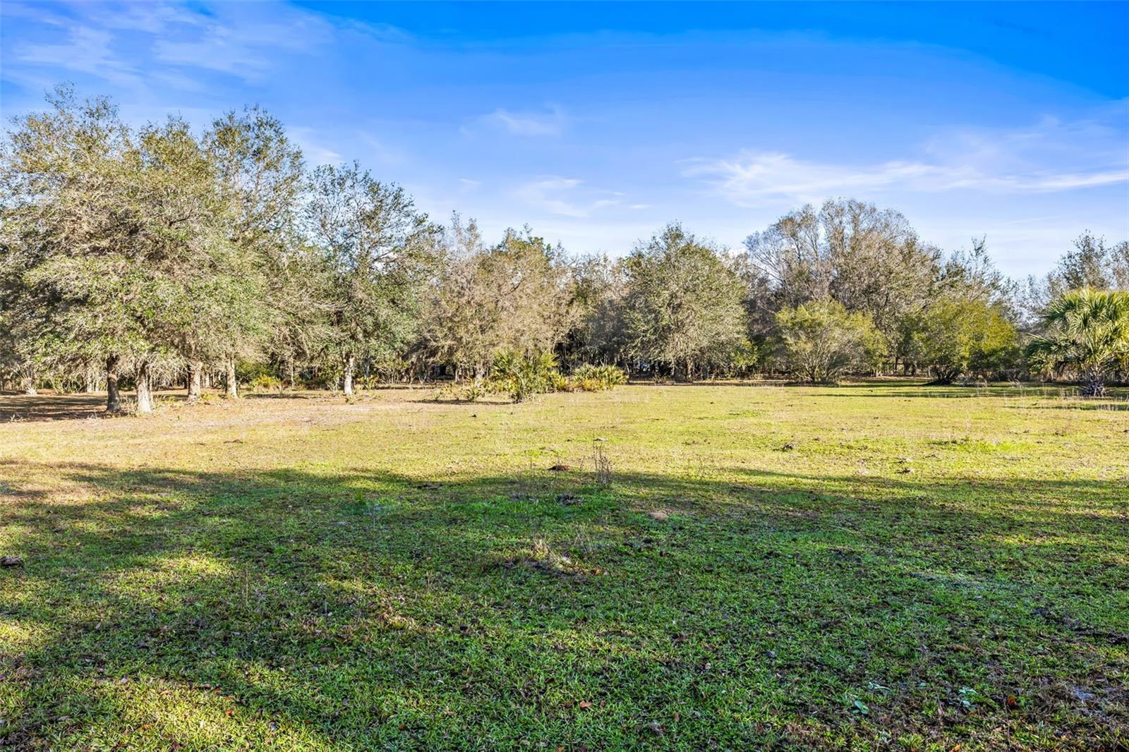 Back pasture has open areas for grazing and shade trees.