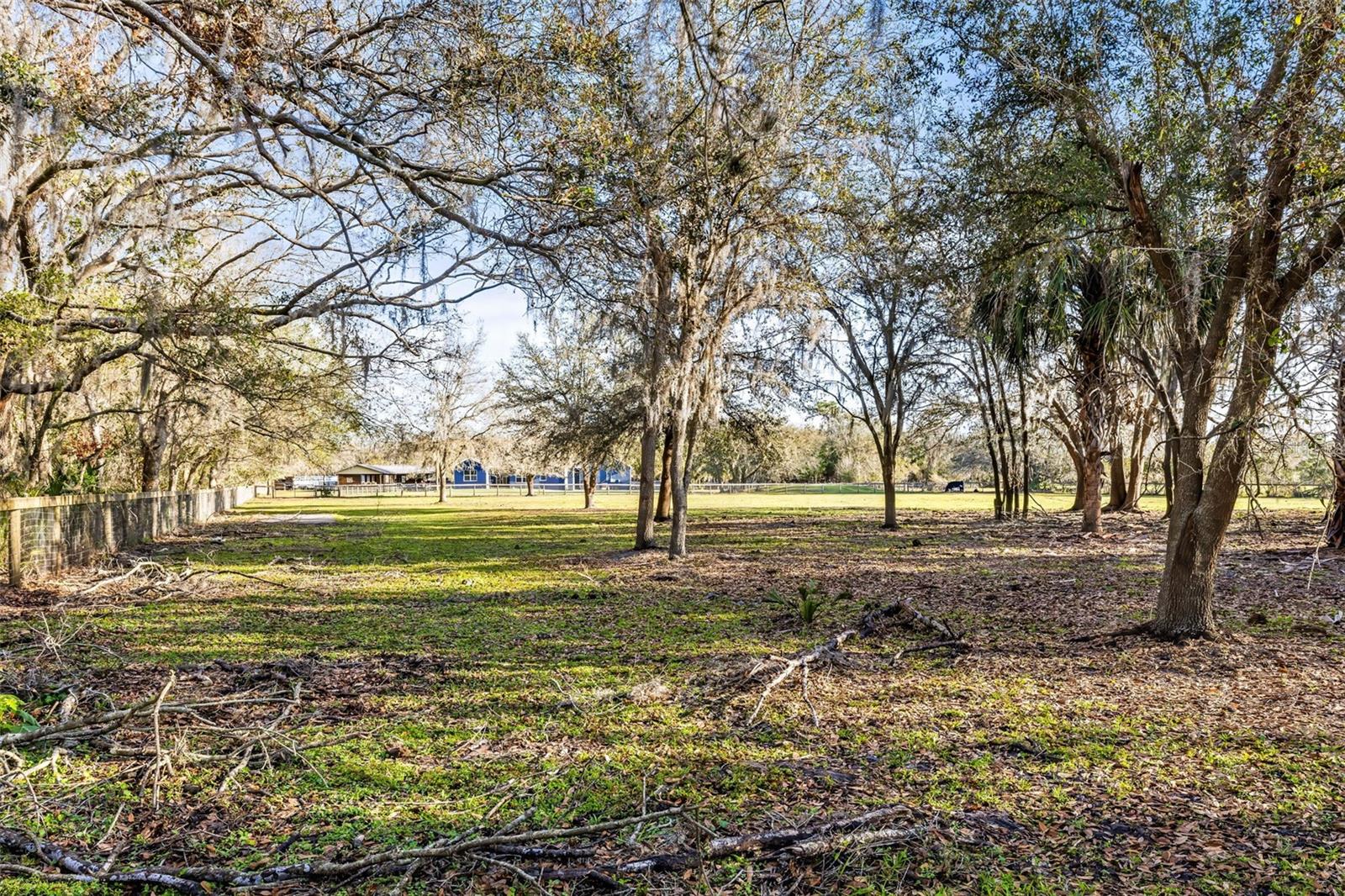 Southeastern area of property in the back pasture.