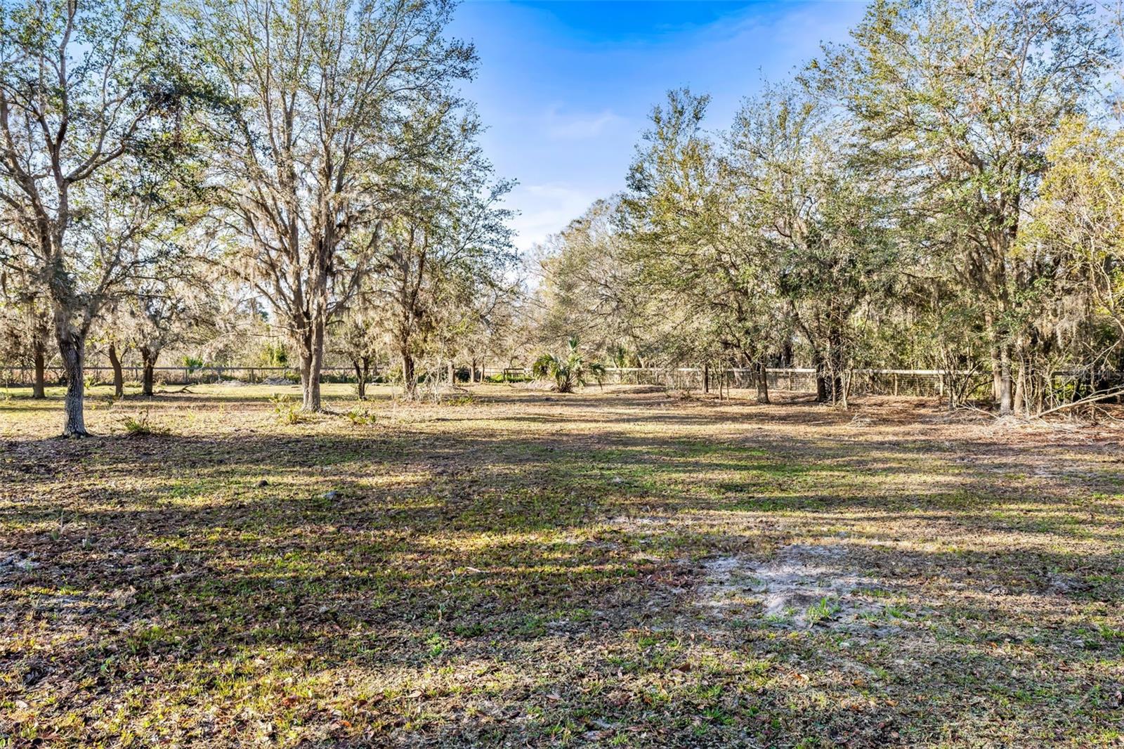 Back pasture heading towards the back of the property. Chito Branch Reserve in the distance.