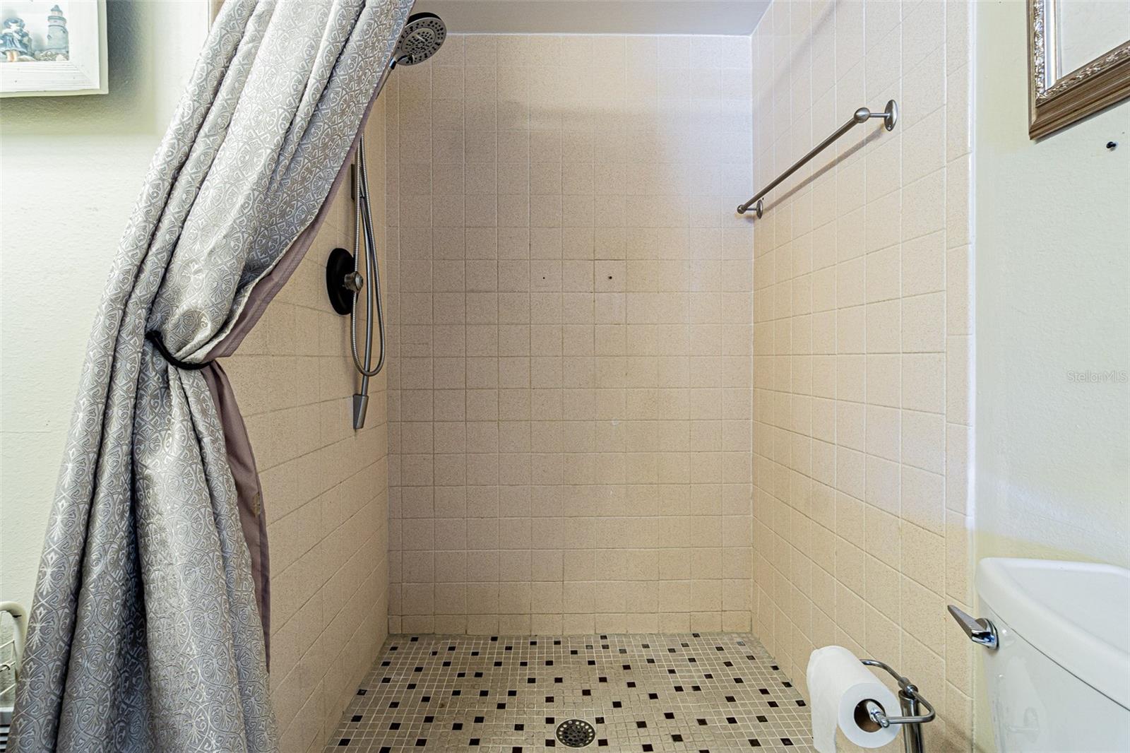 Large walk-in shower.