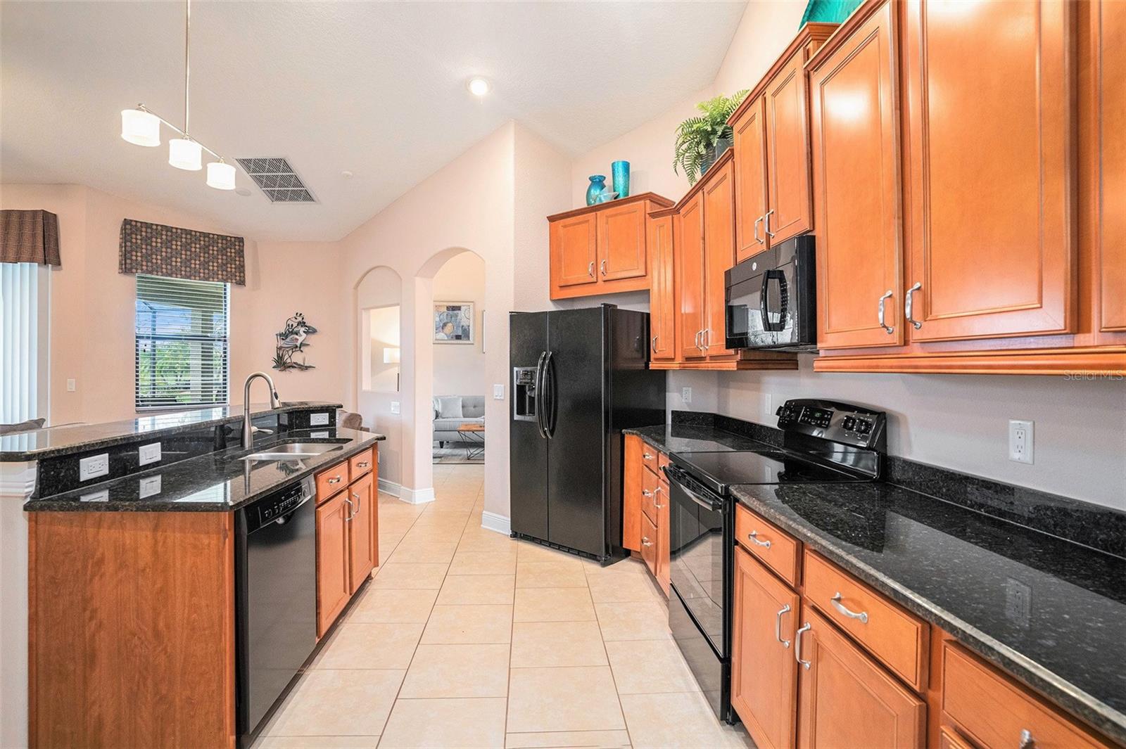 Modern Kitchen with upgraded cabinets