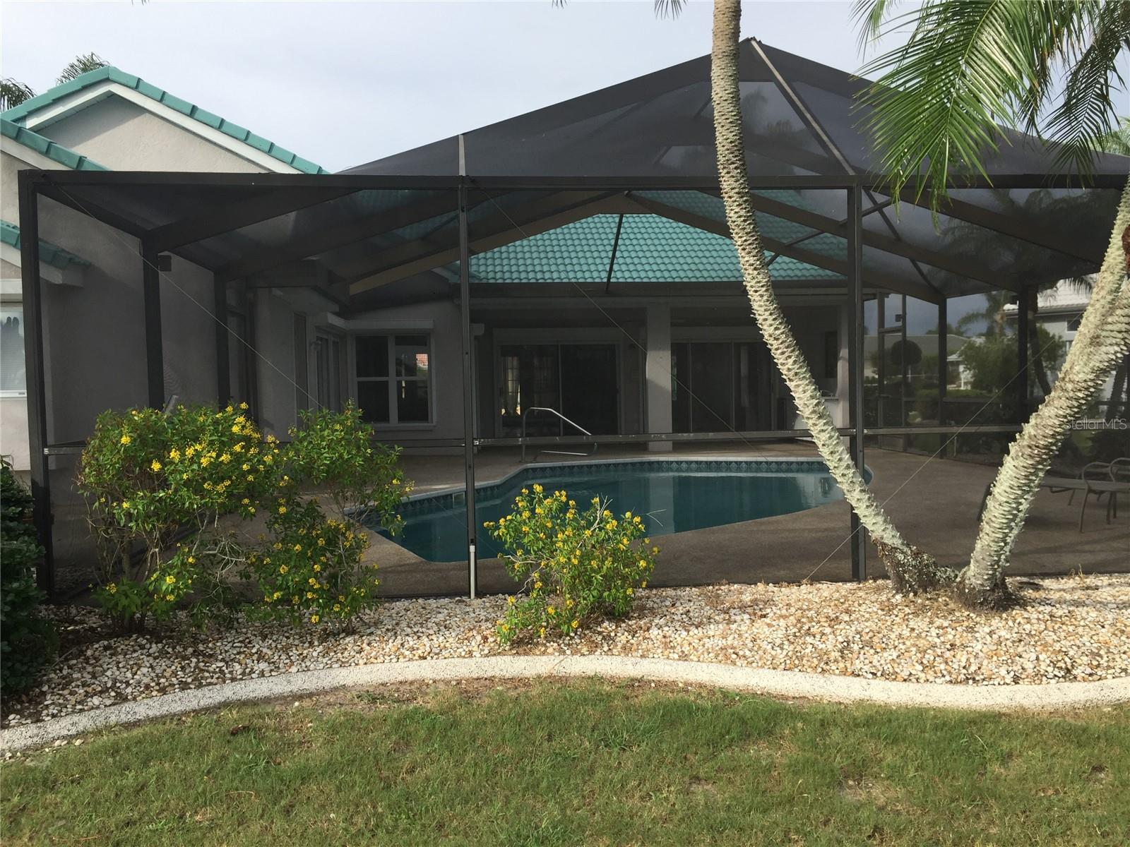 Backyard Behind Pool